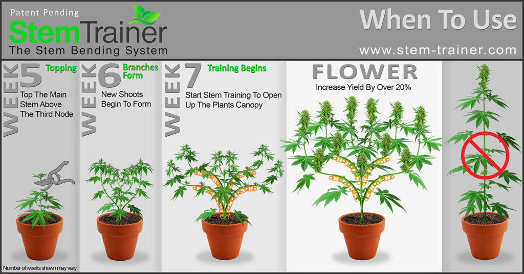 Instructions | Stem Trainer